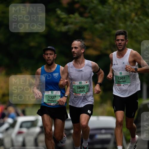21.09.2025 - PSD Bank Halbmarathon Patografie http://msf.ph/oto/8949067 21.09.2025 09:47:53 Laufen 1327, 3899, 1307 meine-sportfotos.de