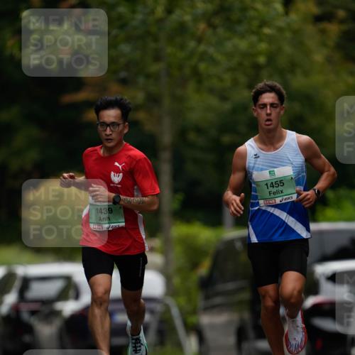 21.09.2025 - PSD Bank Halbmarathon Patografie http://msf.ph/oto/8949198 21.09.2025 09:50:54 Laufen 0, 1439, 1455 meine-sportfotos.de