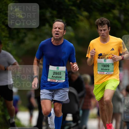 21.09.2025 - PSD Bank Halbmarathon Patografie http://msf.ph/oto/8949413 21.09.2025 09:55:32 Laufen 2955, 1909 meine-sportfotos.de