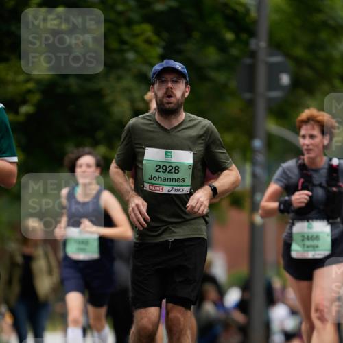 21.09.2025 - PSD Bank Halbmarathon Patografie http://msf.ph/oto/8949545 21.09.2025 10:19:52 Laufen 69, 2928, 2466 meine-sportfotos.de