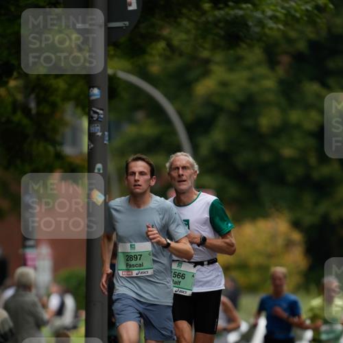 21.09.2025 - PSD Bank Halbmarathon Patografie http://msf.ph/oto/8949627 21.09.2025 10:03:32 Laufen 2897, 566 meine-sportfotos.de