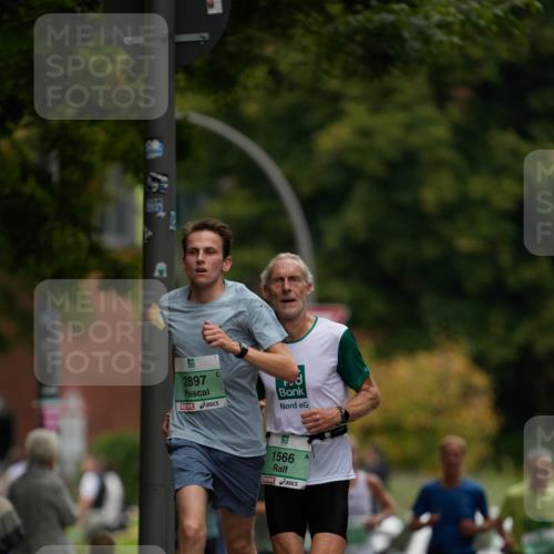 21.09.2025 - PSD Bank Halbmarathon Patografie http://msf.ph/oto/8949628 21.09.2025 10:03:32 Laufen 2897, 1566 meine-sportfotos.de