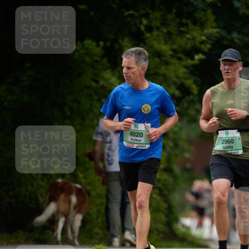 21.09.2025 - PSD Bank Halbmarathon Patografie http://msf.ph/oto/8949841 21.09.2025 10:22:32 Laufen 4020, 2960, 6158 meine-sportfotos.de