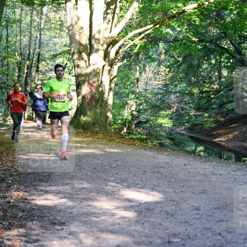 28.09.2025 - 33. Volkslauf durch das schöne Alstertal Dr. Thomas Lammeyer http://msf.ph/oto/8950543 28.09.2025 10:12:29 Laufen 1501 meine-sportfotos.de