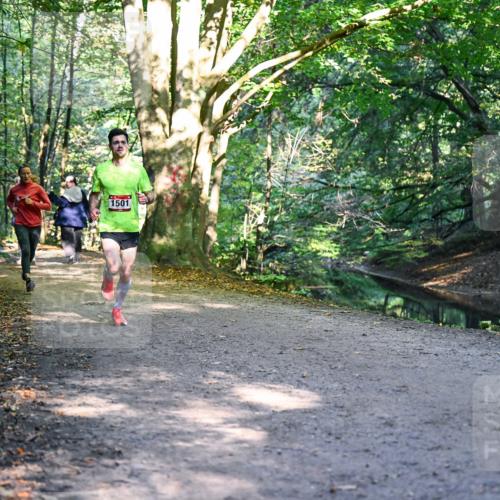 28.09.2025 - 33. Volkslauf durch das schöne Alstertal Dr. Thomas Lammeyer http://msf.ph/oto/8950544 28.09.2025 10:12:29 Laufen 1501 meine-sportfotos.de