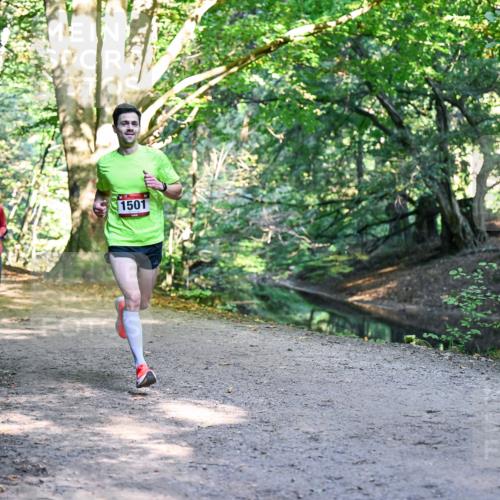 28.09.2025 - 33. Volkslauf durch das schöne Alstertal Dr. Thomas Lammeyer http://msf.ph/oto/8950550 28.09.2025 10:12:30 Laufen 1501 meine-sportfotos.de