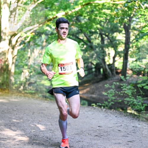 28.09.2025 - 33. Volkslauf durch das schöne Alstertal Dr. Thomas Lammeyer http://msf.ph/oto/8950556 28.09.2025 10:12:31 Laufen 1501 meine-sportfotos.de