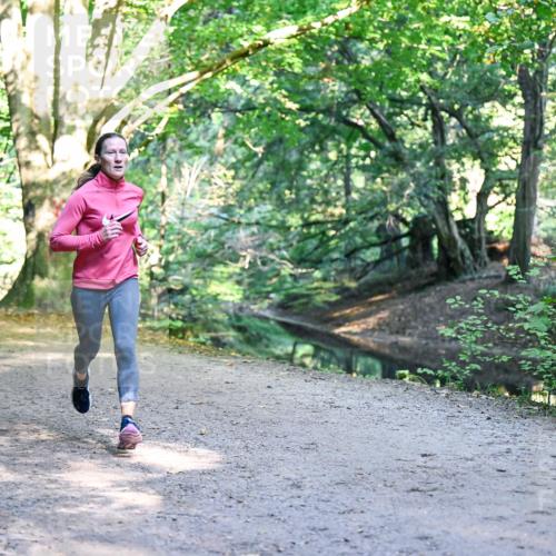 28.09.2025 - 33. Volkslauf durch das schöne Alstertal Dr. Thomas Lammeyer http://msf.ph/oto/8950563 28.09.2025 10:12:33 Laufen  meine-sportfotos.de