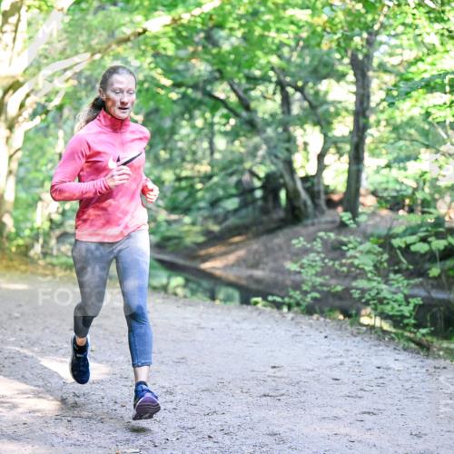 28.09.2025 - 33. Volkslauf durch das schöne Alstertal Dr. Thomas Lammeyer http://msf.ph/oto/8950568 28.09.2025 10:12:33 Laufen  meine-sportfotos.de