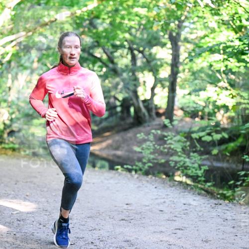 28.09.2025 - 33. Volkslauf durch das schöne Alstertal Dr. Thomas Lammeyer http://msf.ph/oto/8950570 28.09.2025 10:12:33 Laufen  meine-sportfotos.de