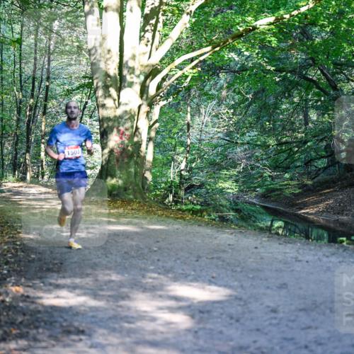 28.09.2025 - 33. Volkslauf durch das schöne Alstertal Dr. Thomas Lammeyer http://msf.ph/oto/8950571 28.09.2025 10:12:46 Laufen 1503 meine-sportfotos.de