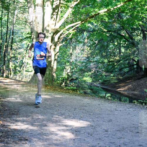 28.09.2025 - 33. Volkslauf durch das schöne Alstertal Dr. Thomas Lammeyer http://msf.ph/oto/8950590 28.09.2025 10:12:54 Laufen 1504 meine-sportfotos.de