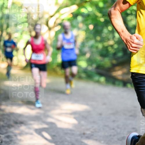 28.09.2025 - 33. Volkslauf durch das schöne Alstertal Dr. Thomas Lammeyer http://msf.ph/oto/8950622 28.09.2025 10:13:49 Laufen 1505 meine-sportfotos.de