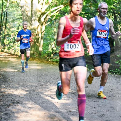 28.09.2025 - 33. Volkslauf durch das schöne Alstertal Dr. Thomas Lammeyer http://msf.ph/oto/8950628 28.09.2025 10:13:50 Laufen 18, 1510, 1002, 1509 meine-sportfotos.de