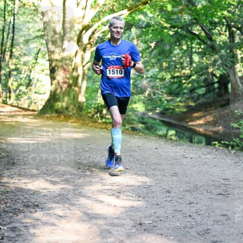 28.09.2025 - 33. Volkslauf durch das schöne Alstertal Dr. Thomas Lammeyer http://msf.ph/oto/8950634 28.09.2025 10:13:51 Laufen 2017, 1510 meine-sportfotos.de