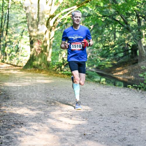 28.09.2025 - 33. Volkslauf durch das schöne Alstertal Dr. Thomas Lammeyer http://msf.ph/oto/8950635 28.09.2025 10:13:51 Laufen 2017, 1510 meine-sportfotos.de