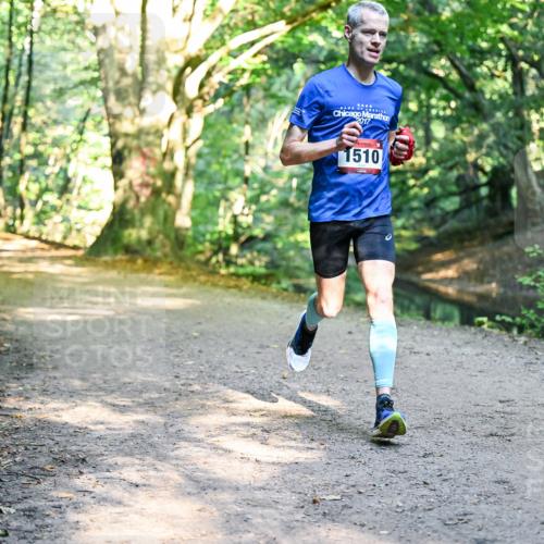 28.09.2025 - 33. Volkslauf durch das schöne Alstertal Dr. Thomas Lammeyer http://msf.ph/oto/8950637 28.09.2025 10:13:51 Laufen 2017, 1510 meine-sportfotos.de