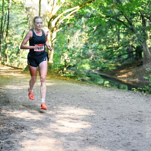 28.09.2025 - 33. Volkslauf durch das schöne Alstertal Dr. Thomas Lammeyer http://msf.ph/oto/8950647 28.09.2025 10:13:57 Laufen  meine-sportfotos.de