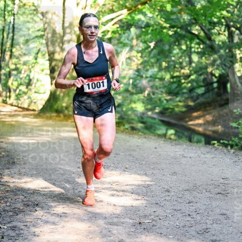28.09.2025 - 33. Volkslauf durch das schöne Alstertal Dr. Thomas Lammeyer http://msf.ph/oto/8950651 28.09.2025 10:13:57 Laufen 1001 meine-sportfotos.de