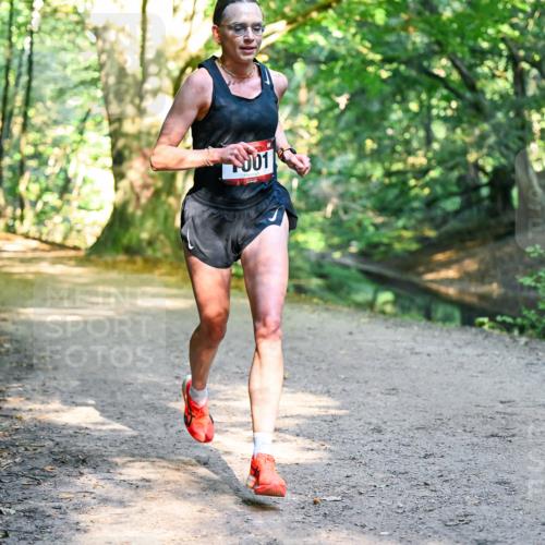 28.09.2025 - 33. Volkslauf durch das schöne Alstertal Dr. Thomas Lammeyer http://msf.ph/oto/8950652 28.09.2025 10:13:57 Laufen 001 meine-sportfotos.de