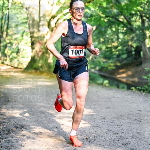 28.09.2025 - 33. Volkslauf durch das schöne Alstertal Dr. Thomas Lammeyer http://msf.ph/oto/8950653 28.09.2025 10:13:57 Laufen 1001 meine-sportfotos.de