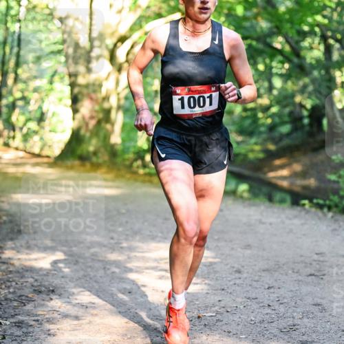 28.09.2025 - 33. Volkslauf durch das schöne Alstertal Dr. Thomas Lammeyer http://msf.ph/oto/8950654 28.09.2025 10:13:58 Laufen 1001 meine-sportfotos.de