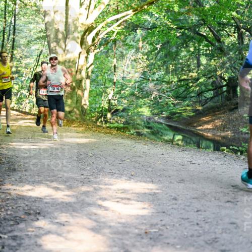 28.09.2025 - 33. Volkslauf durch das schöne Alstertal Dr. Thomas Lammeyer http://msf.ph/oto/8950658 28.09.2025 10:14:09 Laufen 1515, 1511, 1516 meine-sportfotos.de