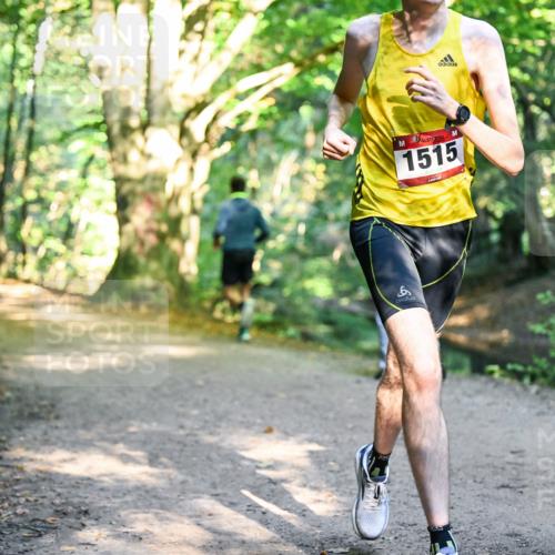 28.09.2025 - 33. Volkslauf durch das schöne Alstertal Dr. Thomas Lammeyer http://msf.ph/oto/8950679 28.09.2025 10:14:12 Laufen 1515 meine-sportfotos.de