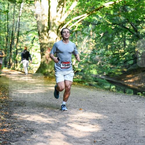 28.09.2025 - 33. Volkslauf durch das schöne Alstertal Dr. Thomas Lammeyer http://msf.ph/oto/8950689 28.09.2025 10:14:22 Laufen 1546 meine-sportfotos.de