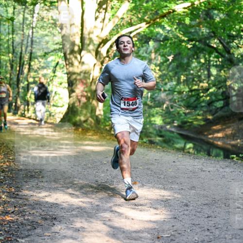 28.09.2025 - 33. Volkslauf durch das schöne Alstertal Dr. Thomas Lammeyer http://msf.ph/oto/8950691 28.09.2025 10:14:22 Laufen 1546 meine-sportfotos.de
