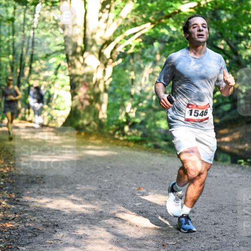 28.09.2025 - 33. Volkslauf durch das schöne Alstertal Dr. Thomas Lammeyer http://msf.ph/oto/8950695 28.09.2025 10:14:22 Laufen 1546 meine-sportfotos.de