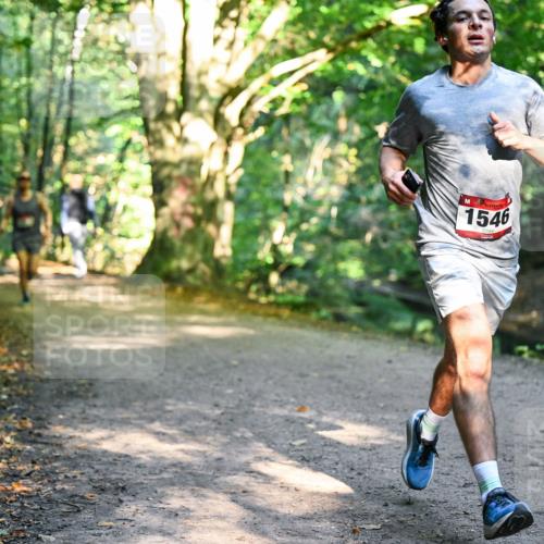 28.09.2025 - 33. Volkslauf durch das schöne Alstertal Dr. Thomas Lammeyer http://msf.ph/oto/8950696 28.09.2025 10:14:23 Laufen 1546 meine-sportfotos.de