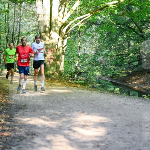 28.09.2025 - 33. Volkslauf durch das schöne Alstertal Dr. Thomas Lammeyer http://msf.ph/oto/8950724 28.09.2025 10:14:33 Laufen 1831, 1518, 801 meine-sportfotos.de