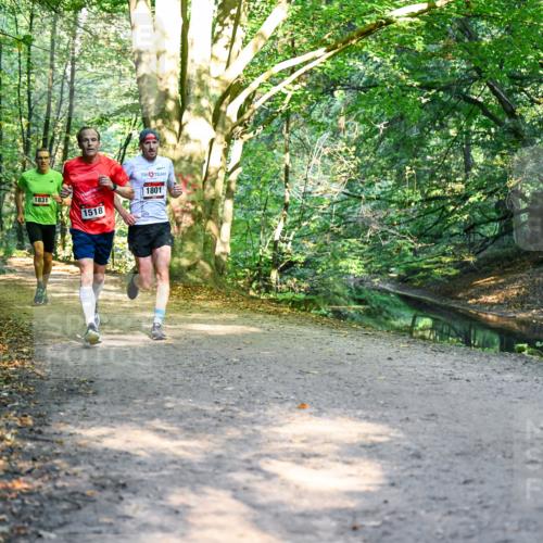 28.09.2025 - 33. Volkslauf durch das schöne Alstertal Dr. Thomas Lammeyer http://msf.ph/oto/8950725 28.09.2025 10:14:33 Laufen 1831, 1518, 1801 meine-sportfotos.de
