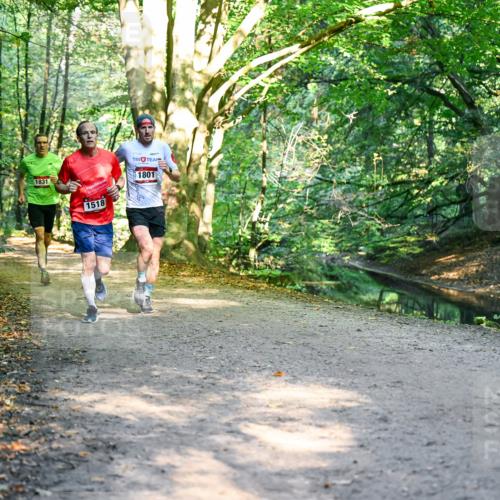 28.09.2025 - 33. Volkslauf durch das schöne Alstertal Dr. Thomas Lammeyer http://msf.ph/oto/8950726 28.09.2025 10:14:33 Laufen 1831, 1518, 1801 meine-sportfotos.de