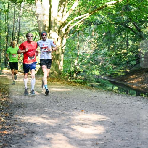 28.09.2025 - 33. Volkslauf durch das schöne Alstertal Dr. Thomas Lammeyer http://msf.ph/oto/8950727 28.09.2025 10:14:34 Laufen 1831, 1518, 1801 meine-sportfotos.de