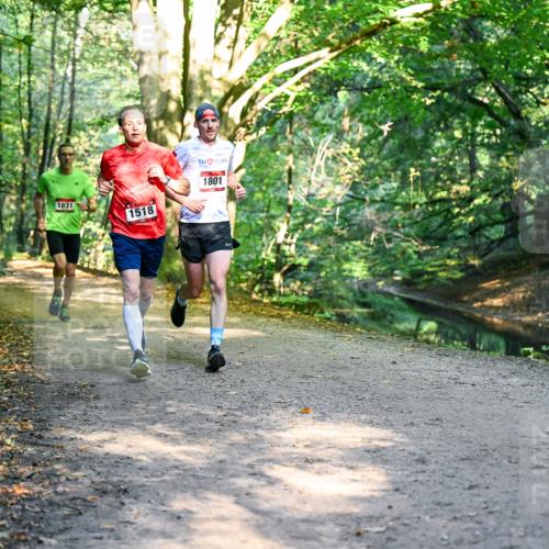 28.09.2025 - 33. Volkslauf durch das schöne Alstertal Dr. Thomas Lammeyer http://msf.ph/oto/8950730 28.09.2025 10:14:34 Laufen 1831, 1518, 1801 meine-sportfotos.de