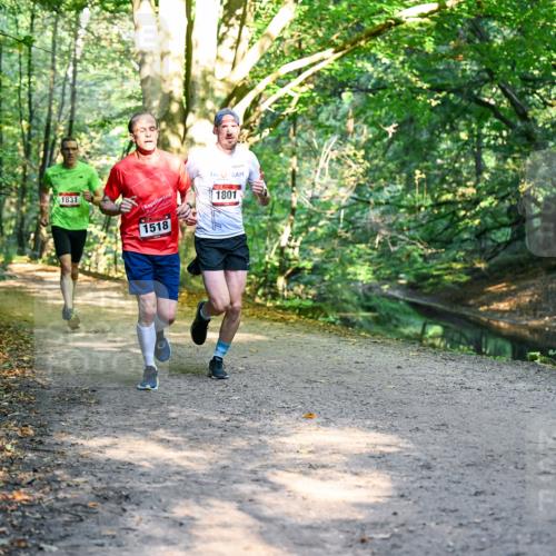 28.09.2025 - 33. Volkslauf durch das schöne Alstertal Dr. Thomas Lammeyer http://msf.ph/oto/8950731 28.09.2025 10:14:34 Laufen 1831, 1518, 1801 meine-sportfotos.de