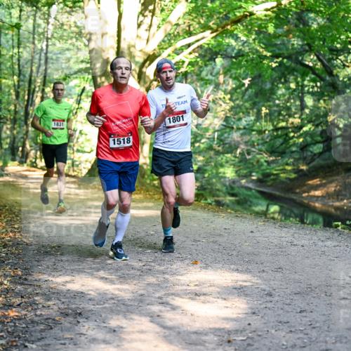 28.09.2025 - 33. Volkslauf durch das schöne Alstertal Dr. Thomas Lammeyer http://msf.ph/oto/8950733 28.09.2025 10:14:35 Laufen 1831, 1518, 1801 meine-sportfotos.de