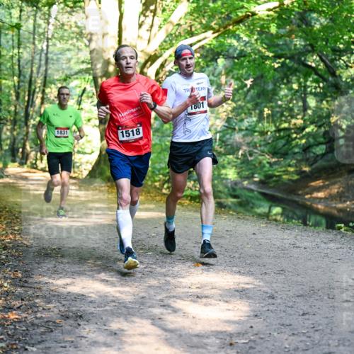 28.09.2025 - 33. Volkslauf durch das schöne Alstertal Dr. Thomas Lammeyer http://msf.ph/oto/8950734 28.09.2025 10:14:35 Laufen 1831, 1518, 1801 meine-sportfotos.de
