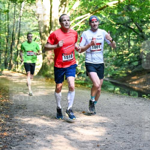 28.09.2025 - 33. Volkslauf durch das schöne Alstertal Dr. Thomas Lammeyer http://msf.ph/oto/8950736 28.09.2025 10:14:35 Laufen 1831, 1518, 1801 meine-sportfotos.de