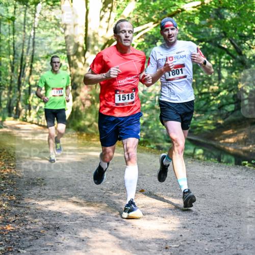 28.09.2025 - 33. Volkslauf durch das schöne Alstertal Dr. Thomas Lammeyer http://msf.ph/oto/8950737 28.09.2025 10:14:35 Laufen 1801, 1831, 1518 meine-sportfotos.de