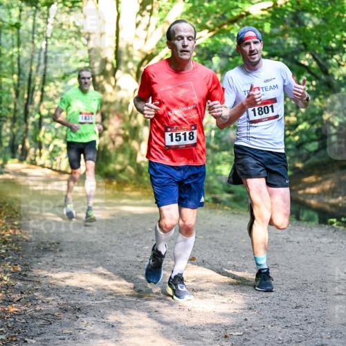 28.09.2025 - 33. Volkslauf durch das schöne Alstertal Dr. Thomas Lammeyer http://msf.ph/oto/8950738 28.09.2025 10:14:35 Laufen 1831, 1518, 1801 meine-sportfotos.de
