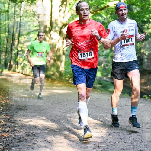 28.09.2025 - 33. Volkslauf durch das schöne Alstertal Dr. Thomas Lammeyer http://msf.ph/oto/8950739 28.09.2025 10:14:35 Laufen 1518, 1801 meine-sportfotos.de