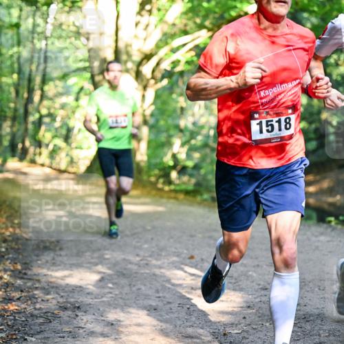 28.09.2025 - 33. Volkslauf durch das schöne Alstertal Dr. Thomas Lammeyer http://msf.ph/oto/8950742 28.09.2025 10:14:36 Laufen 1518, 80 meine-sportfotos.de