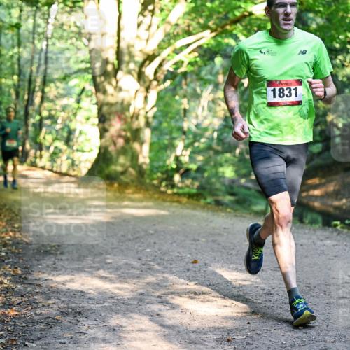 28.09.2025 - 33. Volkslauf durch das schöne Alstertal Dr. Thomas Lammeyer http://msf.ph/oto/8950750 28.09.2025 10:14:37 Laufen 1831 meine-sportfotos.de