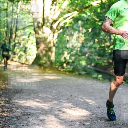 28.09.2025 - 33. Volkslauf durch das schöne Alstertal Dr. Thomas Lammeyer http://msf.ph/oto/8950752 28.09.2025 10:14:37 Laufen 1831 meine-sportfotos.de