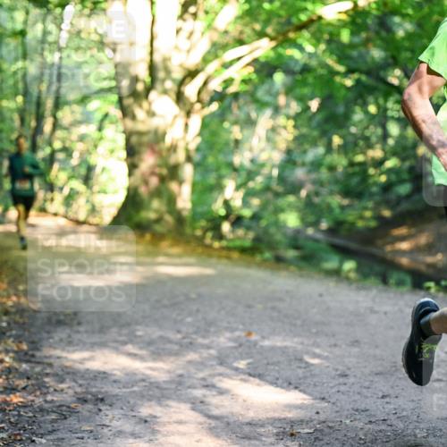 28.09.2025 - 33. Volkslauf durch das schöne Alstertal Dr. Thomas Lammeyer http://msf.ph/oto/8950753 28.09.2025 10:14:37 Laufen 1831 meine-sportfotos.de
