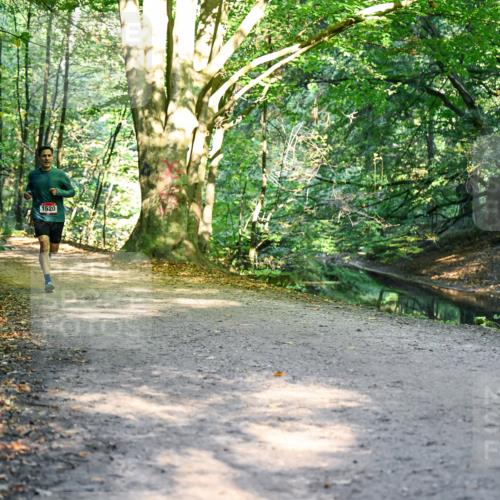 28.09.2025 - 33. Volkslauf durch das schöne Alstertal Dr. Thomas Lammeyer http://msf.ph/oto/8950757 28.09.2025 10:14:38 Laufen 1520 meine-sportfotos.de