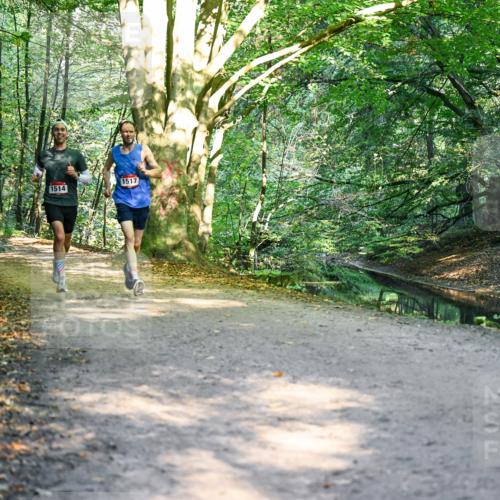 28.09.2025 - 33. Volkslauf durch das schöne Alstertal Dr. Thomas Lammeyer http://msf.ph/oto/8950769 28.09.2025 10:14:53 Laufen 1517, 1514 meine-sportfotos.de